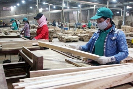 Women join making wooden planks in Hoang Duc Linh Company Ltd in central Quang Tri Province. Employers in Viet Nam will be banned from hiring women work in health-threatening jobs, listed in a newly-released decree from the labour ministry. — VNA/VNS Photo Tran Viet Women join making wooden planks in Hoang Duc Linh Company Ltd in central Quang Tri Province. Employers in Viet Nam will be banned from hiring women work in health-threatening jobs, listed in a newly-released decree from the labour ministry. — VNA/VNS Photo Tran Viet