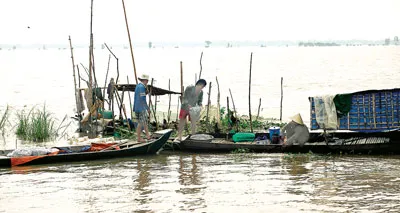 Thu hoạch tôm, cá trong mùa nước nổi. Thu hoạch tôm, cá trong mùa nước nổi.