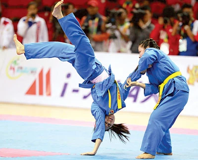 Tuyệt vời Vovinam