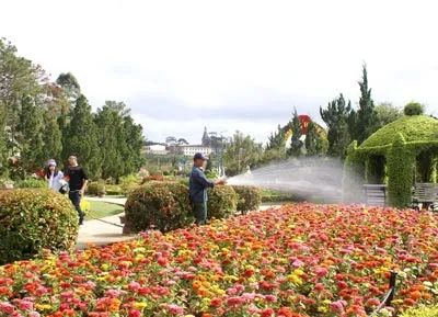 Hoa rực rỡ hơn trong công viên hoa. Hoa rực rỡ hơn trong công viên hoa.
