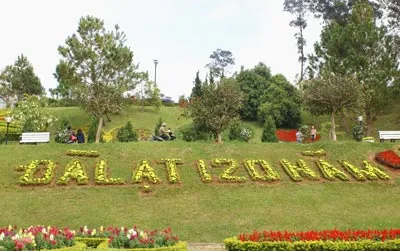 Hoa đón chào Đà Lạt 120 tuổi. Hoa đón chào Đà Lạt 120 tuổi.