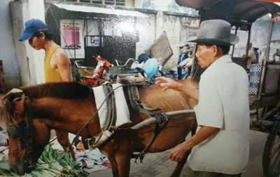 Ông Sáu Tài bên xe thổ mộ thân thương. Ông Sáu Tài bên xe thổ mộ thân thương.