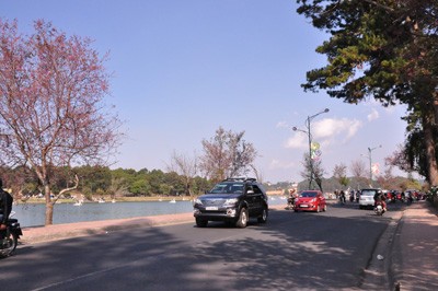 Da Lat City’s Street was crowded with vehicles. Da Lat City’s Street was crowded with vehicles.