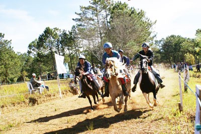 Horse race at Love Valley in 2008 (Photo:SGGP) Horse race at Love Valley in 2008 (Photo:SGGP)