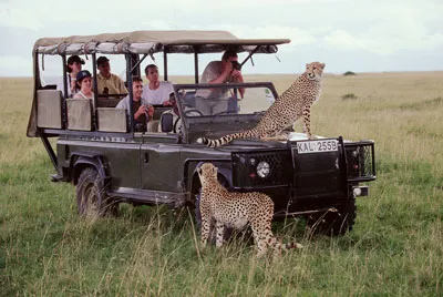 Khám phá thiên đường hoang dã Kenya ảnh 2 Khám phá thiên đường hoang dã Kenya ảnh 2