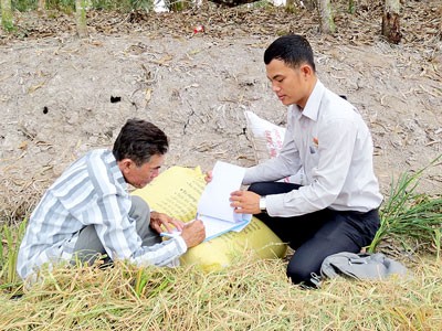An An Giang Plant Protection Company staff sells stocks to farmers at field (Photo: SGGP) An An Giang Plant Protection Company staff sells stocks to farmers at field (Photo: SGGP)