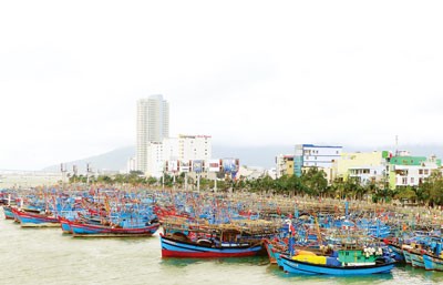 A fishing fleet in Da Nang City (Photo: SGGP) A fishing fleet in Da Nang City (Photo: SGGP)