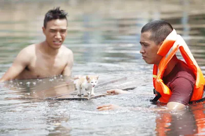 Đạo diễn Vũ Ngọc Đãng lên tiếng về vụ con mèo trong phim "Vừa đi vừa khóc"
