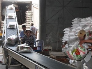 A rice conveyor at the Tan Tuc Food Processing Company in Ho Chi Minh City (Photo: VNA) A rice conveyor at the Tan Tuc Food Processing Company in Ho Chi Minh City (Photo: VNA)