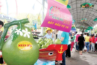 Nhiều hoạt động phong phú và đặc sắc Kỷ niệm 10 năm Lễ hội Trái cây Nam bộ ảnh 2 Nhiều hoạt động phong phú và đặc sắc Kỷ niệm 10 năm Lễ hội Trái cây Nam bộ ảnh 2