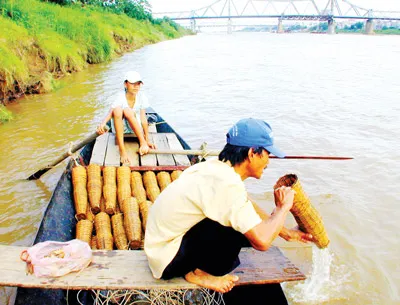 Phụ giúp bố chèo thuyền là công việc hàng ngày của các em nhỏ. Phụ giúp bố chèo thuyền là công việc hàng ngày của các em nhỏ.