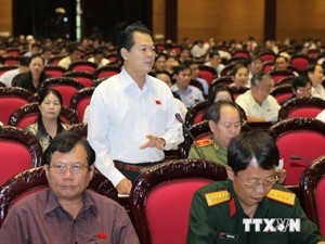 Ca Mau deputy Truong Minh Hoang speaks at the session (Photo: VNA) Ca Mau deputy Truong Minh Hoang speaks at the session (Photo: VNA)