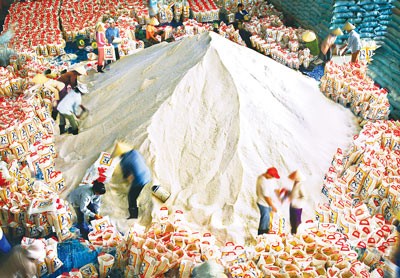 Rice is being packed for exports in Long An Province (Photo: SGGP) Rice is being packed for exports in Long An Province (Photo: SGGP)