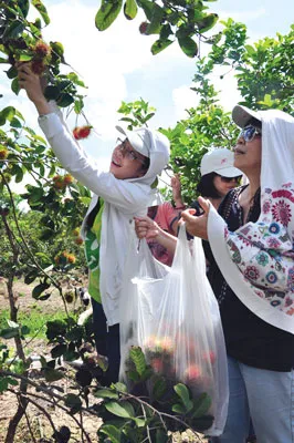 Tour hè cho trẻ