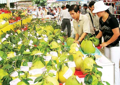 Tìm đầu ra cho nông sản: Yêu cầu bức thiết