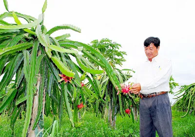 Quả ngọt trên vùng đất chua