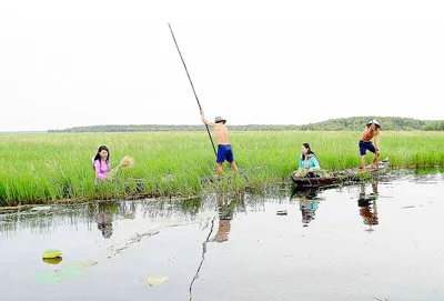 Kỳ diệu Tràm Chim