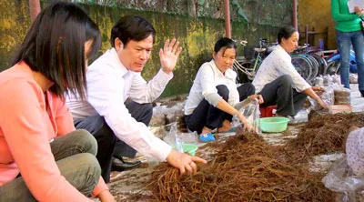 Đào tạo nghề lao động nông thôn - Đừng chạy theo phong trào