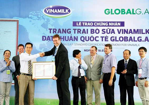 Trang trại bò sữa đầu tiên tại Đông Nam Á được Global G.A.P chứng nhận đạt tiêu chuẩn quốc tế