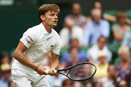 David Goffin