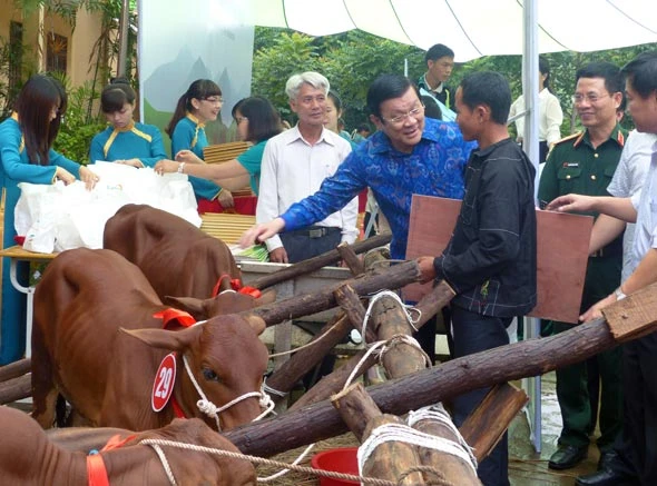 Chủ tịch nước Trương Tấn Sang trao tặng bò giống cho đồng bào nghèo vùng biên giới Lạng Sơn