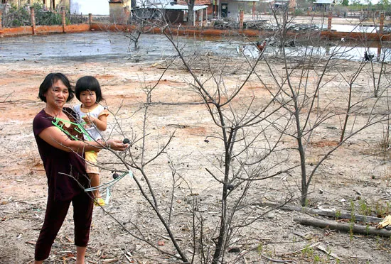 Quặn lòng Quán Thẻ