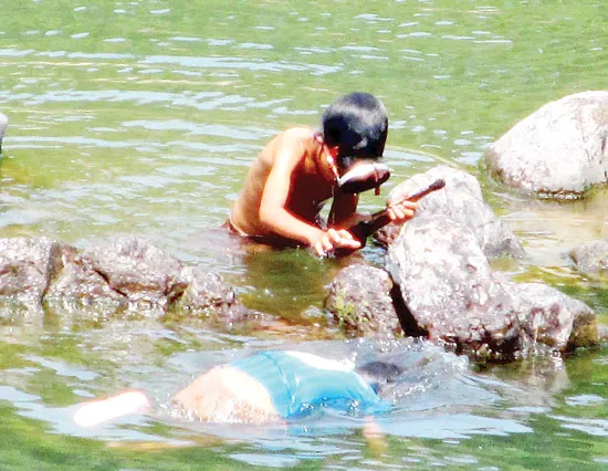 Mưu sinh ở dãy Trường Sơn