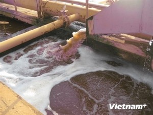 Illustrative image (Photo: VNA) Illustrative image (Photo: VNA)