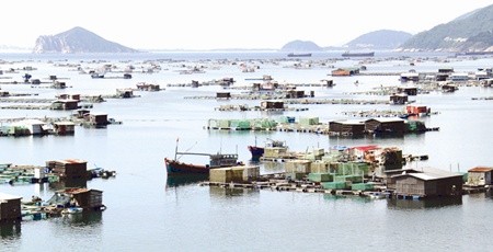 Aquaculture cages in Vung Ro Bay of coastal central Phu Yen Province. Work on the Vung Ro Oil Refinery & Petrochemical project began in the bay yesterday morning (Photo: VNA/VNS) Aquaculture cages in Vung Ro Bay of coastal central Phu Yen Province. Work on the Vung Ro Oil Refinery & Petrochemical project began in the bay yesterday morning (Photo: VNA/VNS)