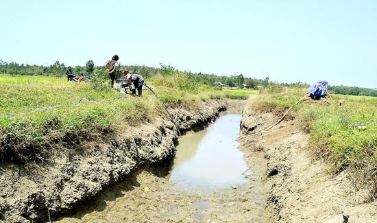 Farmers dredge a canal for irrigation water in Binh Son District, Quang Ngai Province (Photo: SGGP) Farmers dredge a canal for irrigation water in Binh Son District, Quang Ngai Province (Photo: SGGP)