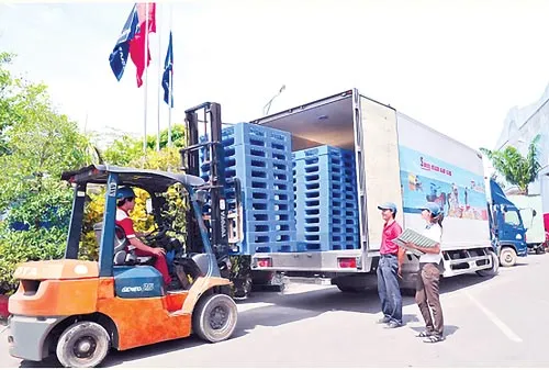 Chọn pallet nào để tiết kiệm và hiệu quả nhất? ảnh 6 Chọn pallet nào để tiết kiệm và hiệu quả nhất? ảnh 6