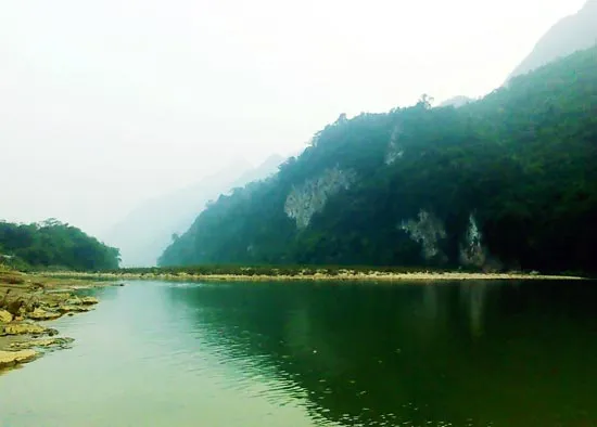 Đi tìm cây thuốc hồi sinh