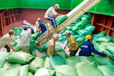 Rice bags are loaded aboard for exports in the Mekong Delta province of Vinh Long (Photo: SGGP) Rice bags are loaded aboard for exports in the Mekong Delta province of Vinh Long (Photo: SGGP)