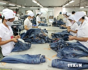 Textile and garments are among Vietnamese exports to Germany (Photo: VNA) Textile and garments are among Vietnamese exports to Germany (Photo: VNA)