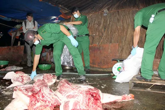 Gia súc, gia cầm bẩn tràn lan ở Bình Chánh