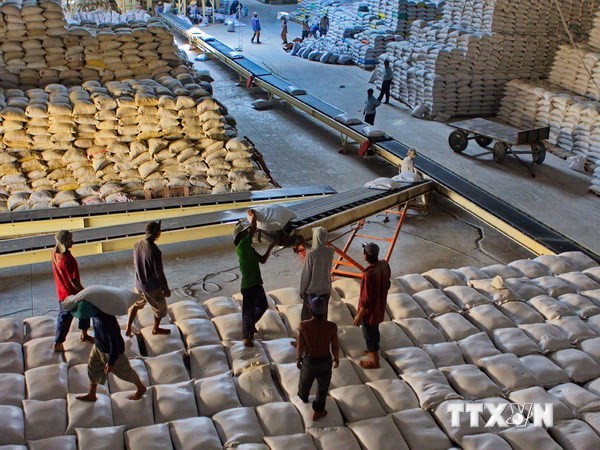 A rice warehouse of Hau Giang Food Company (Photo: VNA) A rice warehouse of Hau Giang Food Company (Photo: VNA)