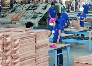 Workers at Scansia Pacific Wood Factory in southern Dong Nai province (Photo: VNA) Workers at Scansia Pacific Wood Factory in southern Dong Nai province (Photo: VNA)