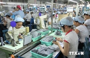 GDP in 2014 is estimated to grow by 5.98 percent over the previous year (Illustrative image. Photo: VNA) GDP in 2014 is estimated to grow by 5.98 percent over the previous year (Illustrative image. Photo: VNA)