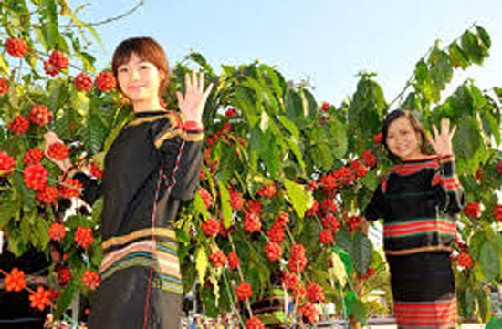 (Photo:SGGP) (Photo:SGGP)