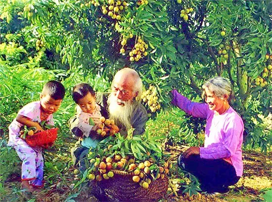 Nếp nhà trong gia đình Việt
