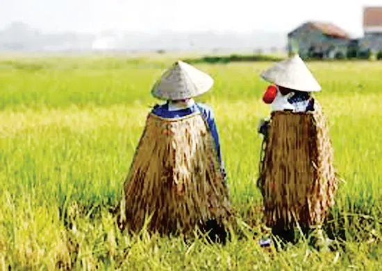 Áo tơi, nón lá