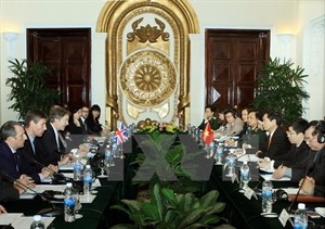Overview of the Vietnam-UK strategic dialogue (Photo: VNA) Overview of the Vietnam-UK strategic dialogue (Photo: VNA)