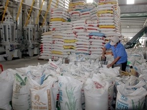 Rice processing - Illustrative image (Source: VNA) Rice processing - Illustrative image (Source: VNA)