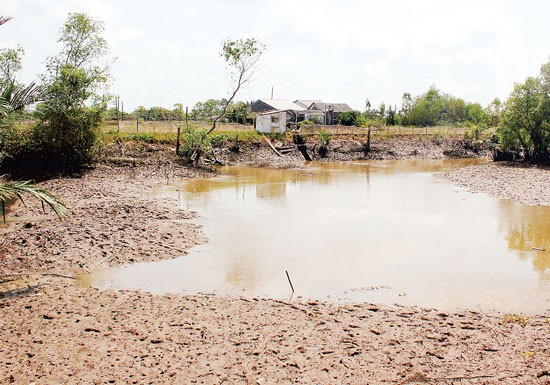 Mekong Delta region has copied with dry weather and salt penetration. (Photo:SGGP) Mekong Delta region has copied with dry weather and salt penetration. (Photo:SGGP)