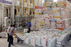 Vietnam shipped 536,570 tonnes of rice worth US$ 236 million abroad during the first quarter of this year, marking the lowest Q1 figures since 2009. (Photo: VNA) Vietnam shipped 536,570 tonnes of rice worth US$ 236 million abroad during the first quarter of this year, marking the lowest Q1 figures since 2009. (Photo: VNA)