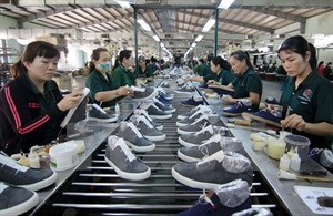 The total capital invested in EPZs and IPs exceeded US$381.7 million (Photo: VNA) The total capital invested in EPZs and IPs exceeded US$381.7 million (Photo: VNA)