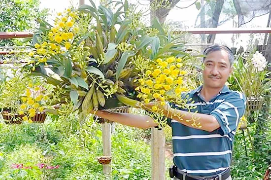 Ở thung lũng cá lóc
