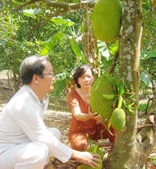 Đất và người Côn Đảo