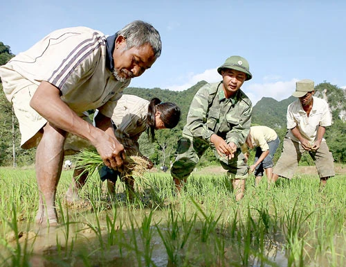 Tag crưm mùa khai minh lúa nước