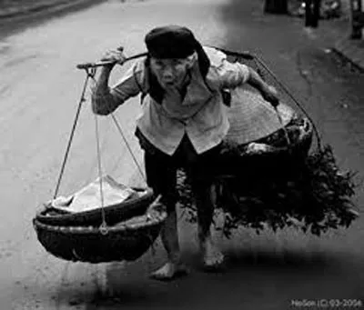 Câu hát vào đời